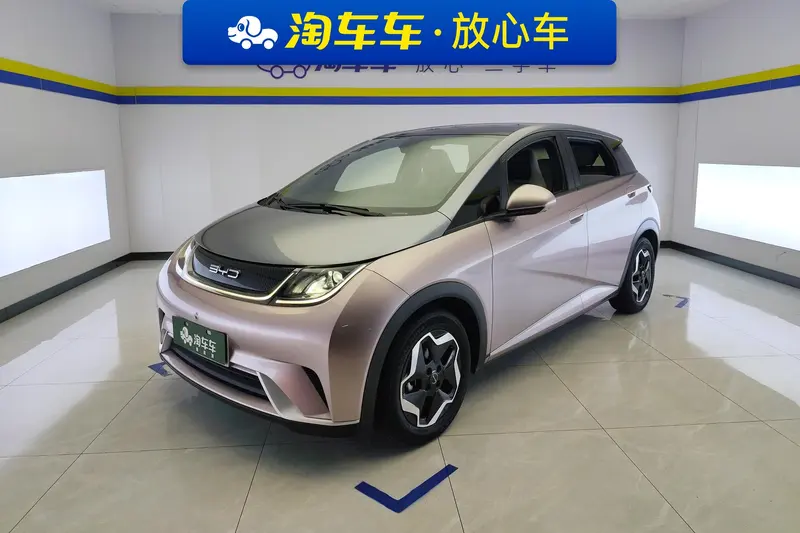 BYD Dolphin Fashion Edition, 2021 — фото 1