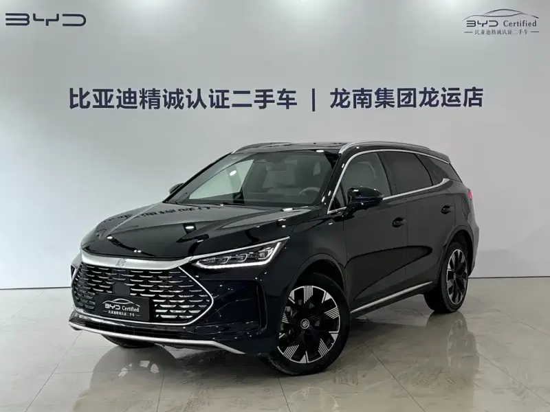 BYD Tang New Energy, 2024