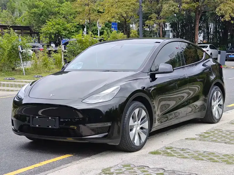 Tesla Model Y, 2021