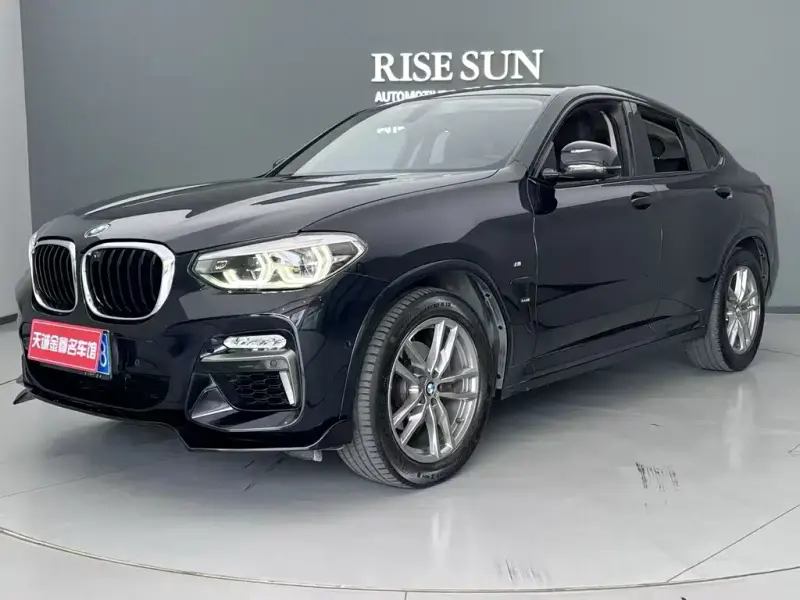 BMW X4, 2019 — фото 1