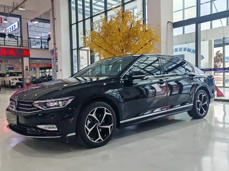 Volkswagen Magotan, 2024