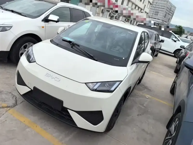 BYD Seagull, 2026