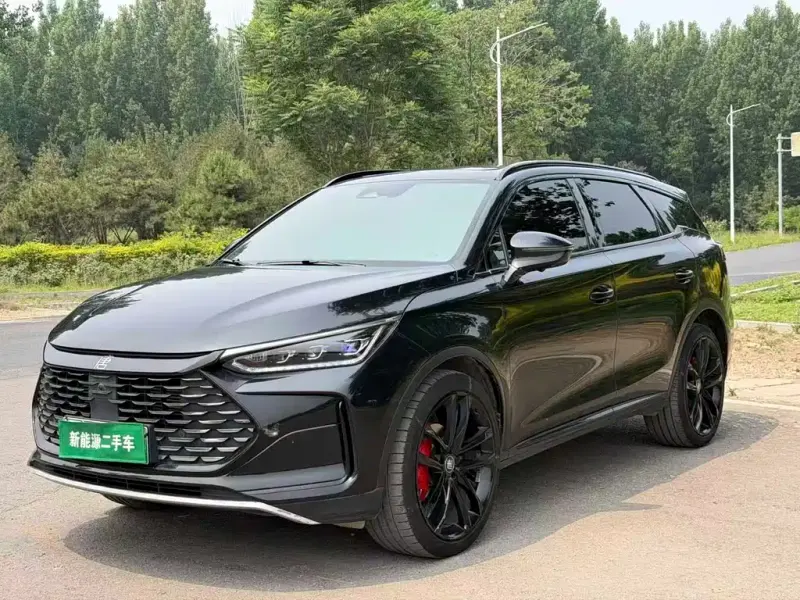 BYD Tang New Energy, 2023