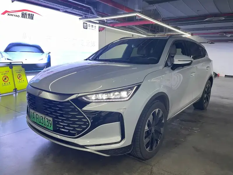 BYD Tang New Energy, 2024