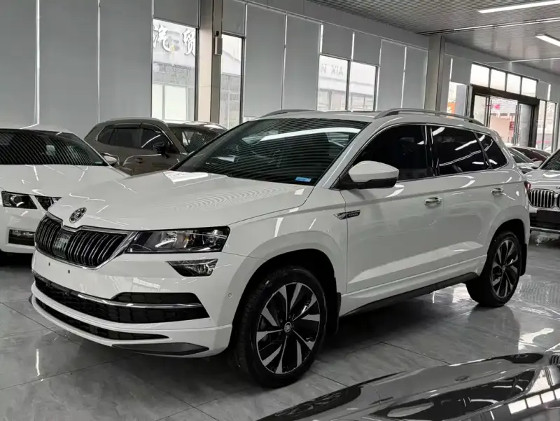 Skoda Karoq, 2022 — фото 1