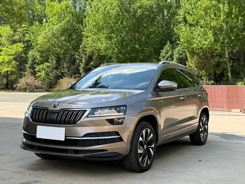 Skoda Karoq, 2022 — фото 1