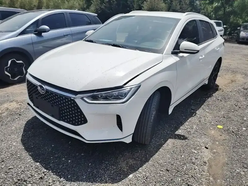 BYD e2, 2021
