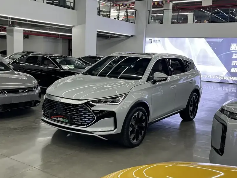 BYD Tang New Energy, 2024