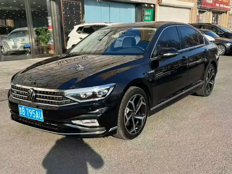 Volkswagen Magotan, 2024