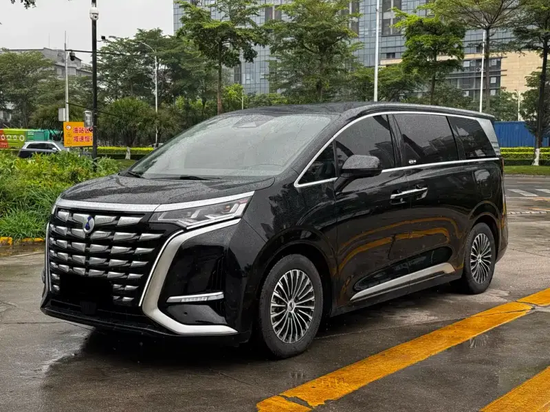 Denza D9, 2024