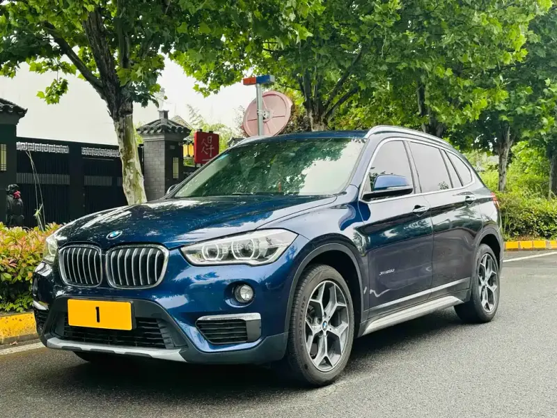 BMW X1, 2017 — фото 1