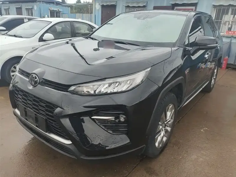 Toyota Wildlander, 2021