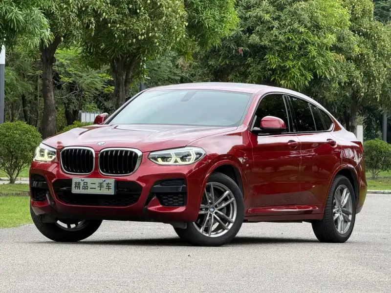 BMW X4, 2020 — фото 1