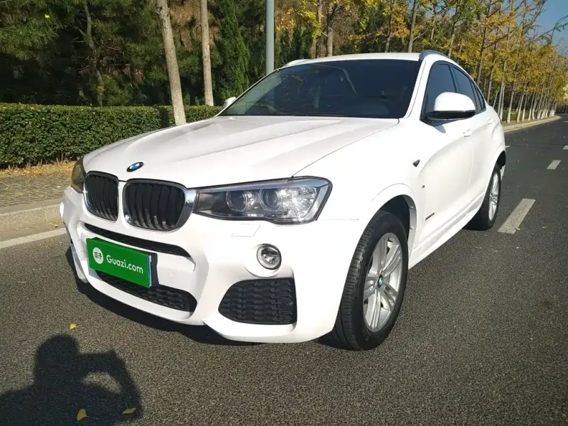 BMW X4, 2018 — фото 1