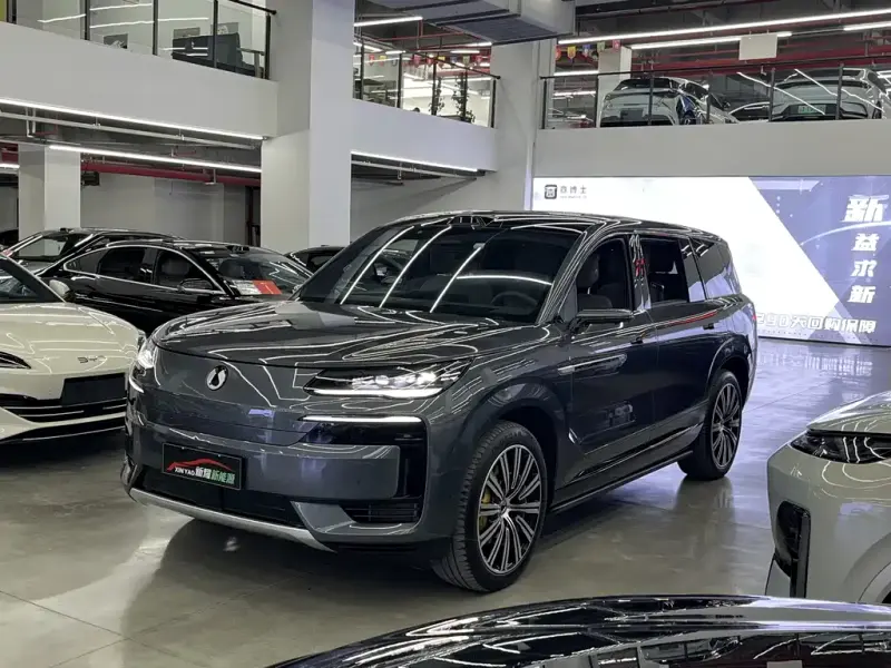 Denza N9, 2025