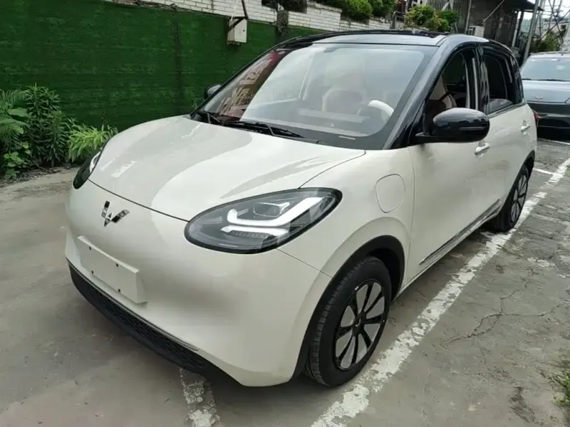 Wuling Bingo, 2024