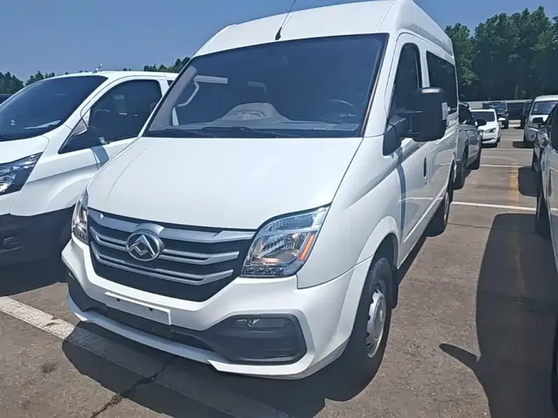 Maxus V80, 2019