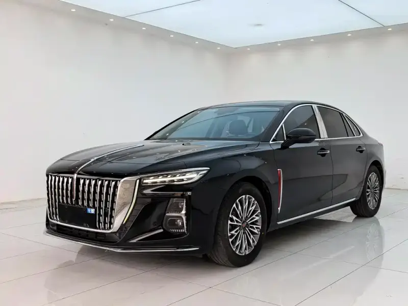 Hongqi H5, 2024