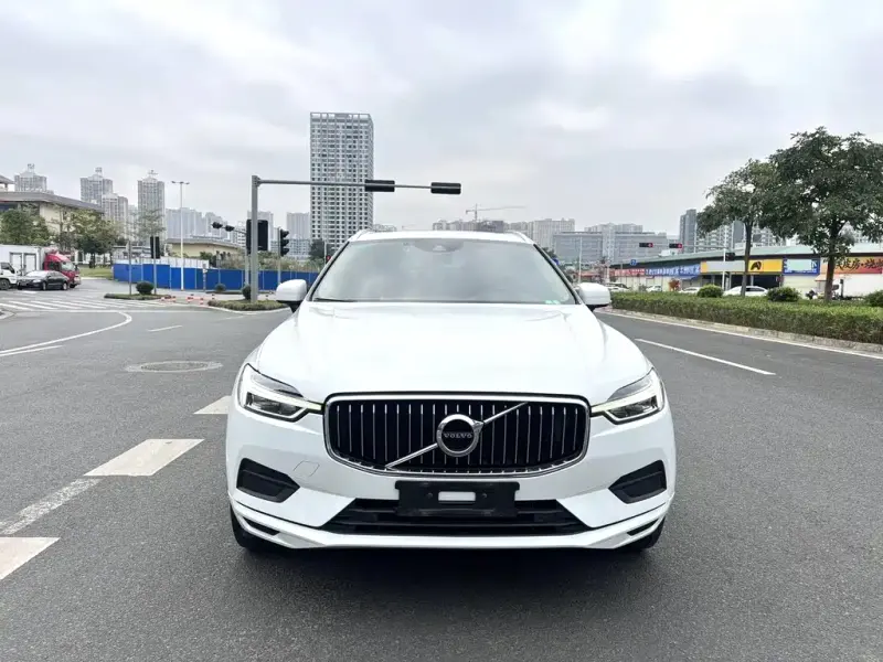 Volvo XC60, 2019 — фото 1