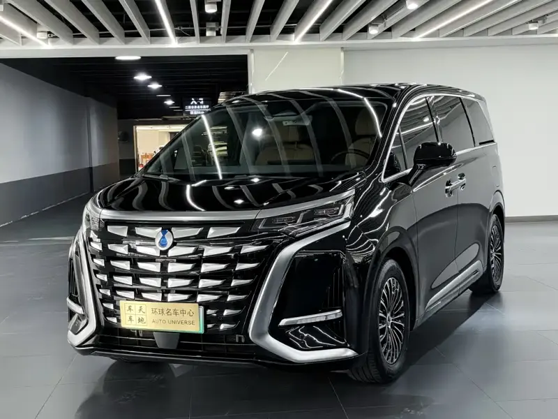 Denza D9, 2024