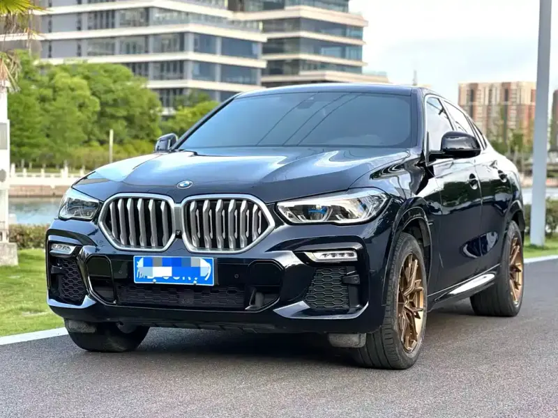 BMW X6, 2021