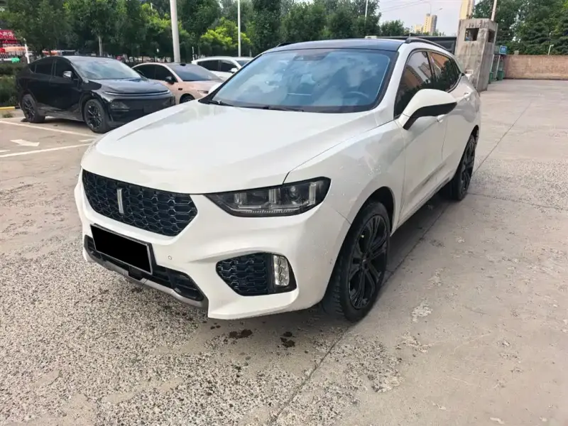 Wey VV5, 2018