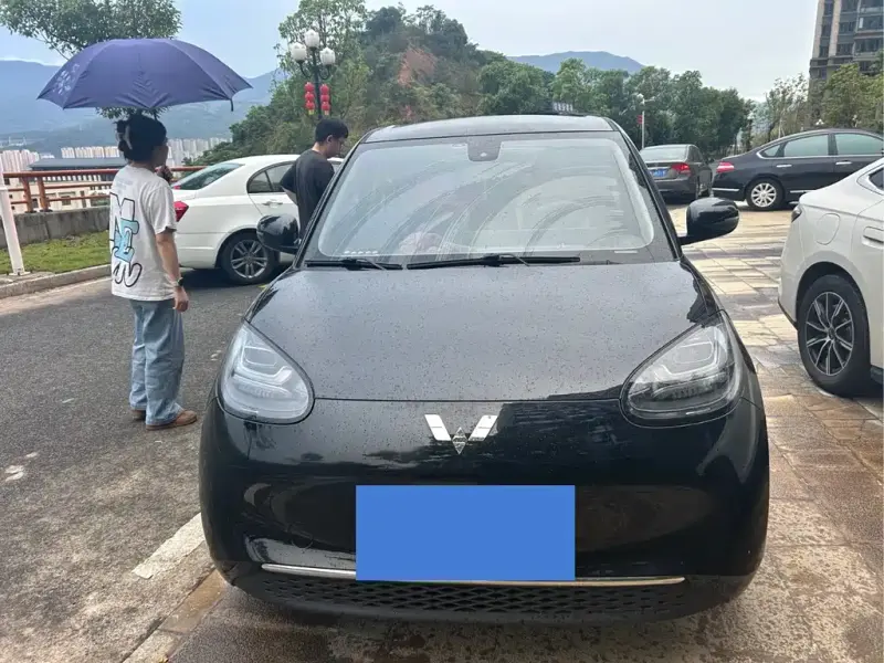 Wuling Bingo, 2023