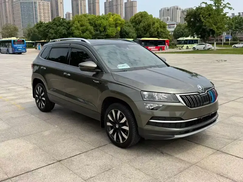 Skoda Karoq, 2019