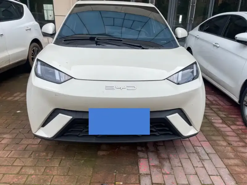 BYD Seagull, 2024
