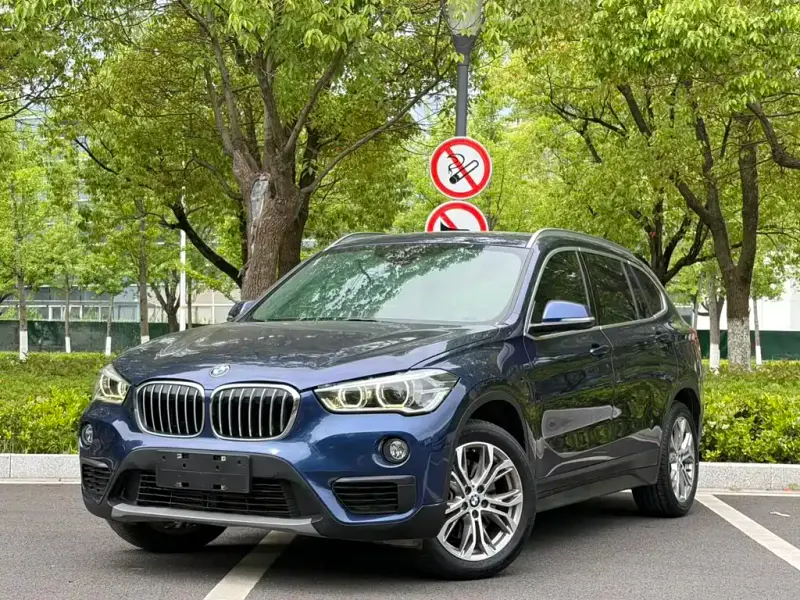 BMW X1, 2019 — фото 1