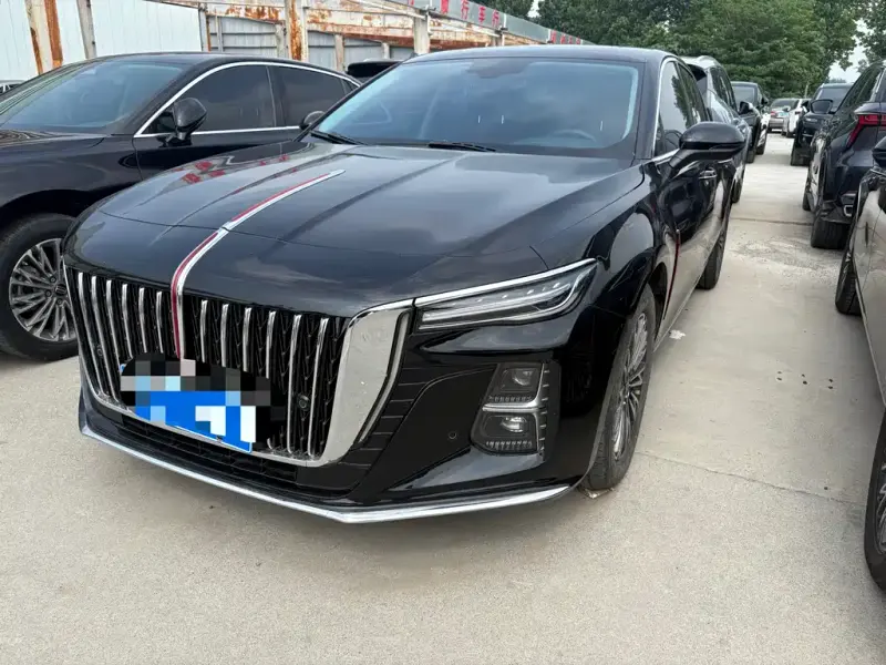 Hongqi H5, 2024