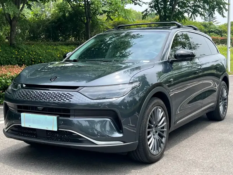 Leapmotor C11, 2024