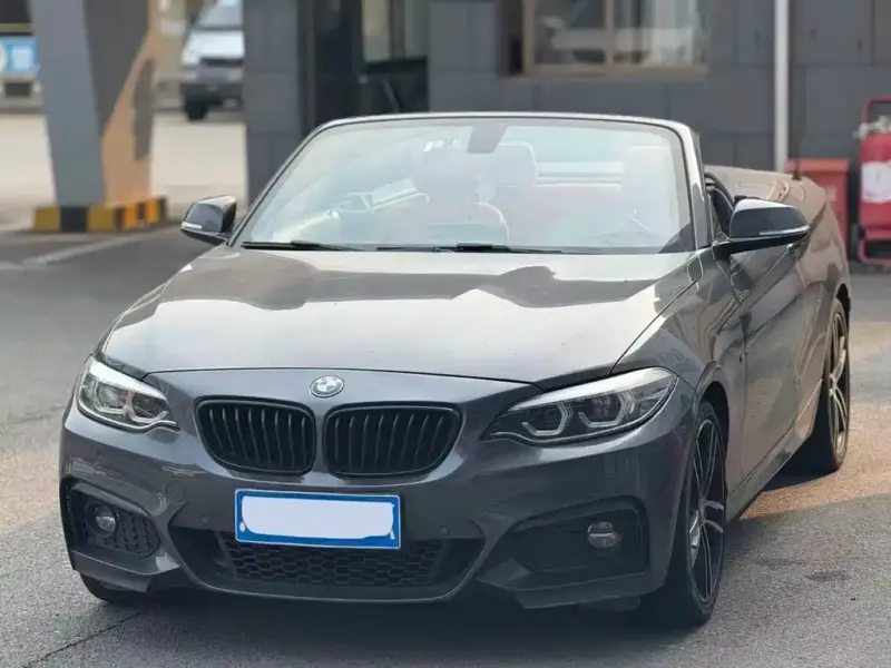BMW 2 Series (Import), 2020 — фото 1