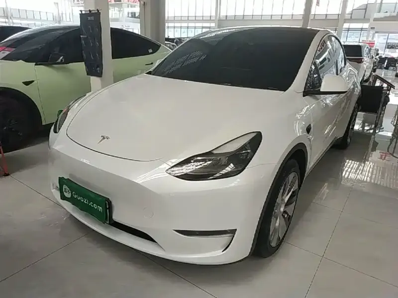 Tesla Model Y, 2021