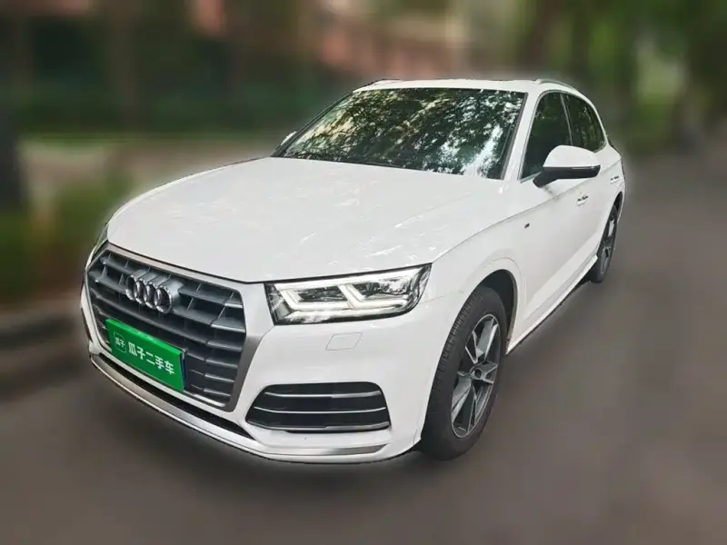 Audi Q5L, 2020