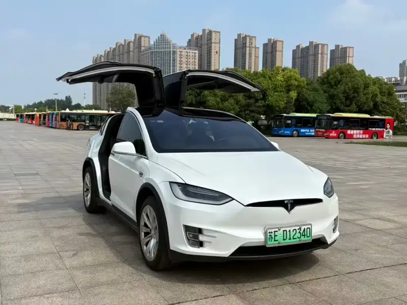 Tesla Model X, 2019