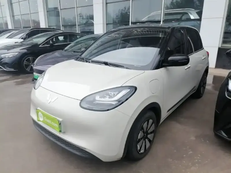 Wuling Bingo, 2023