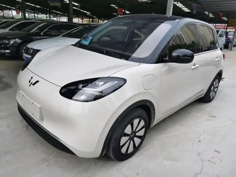 Wuling Bingo, 2025
