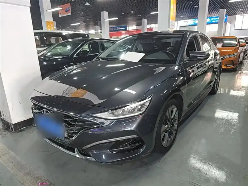 Hyundai Fista, 2019