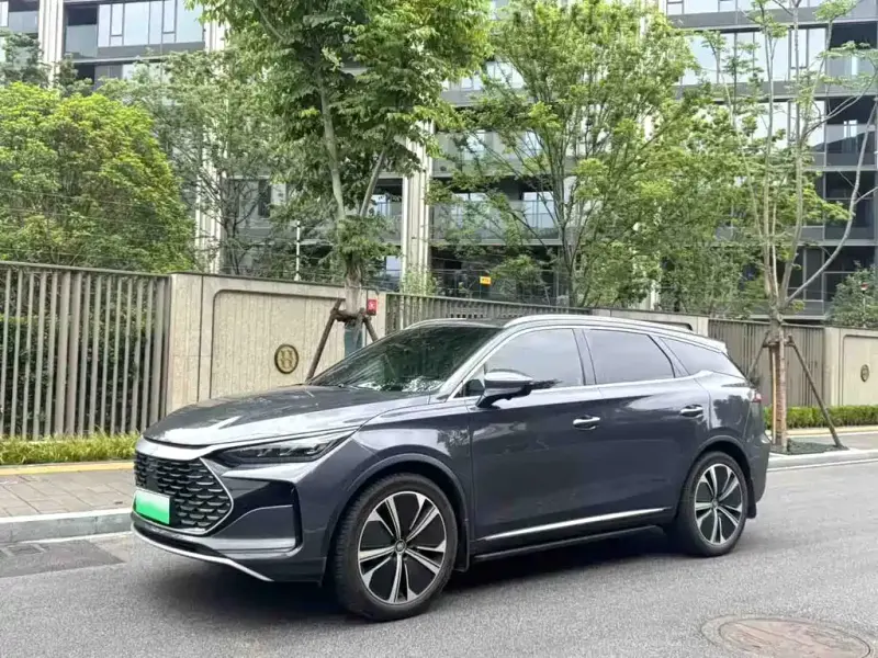 BYD Tang New Energy, 2022