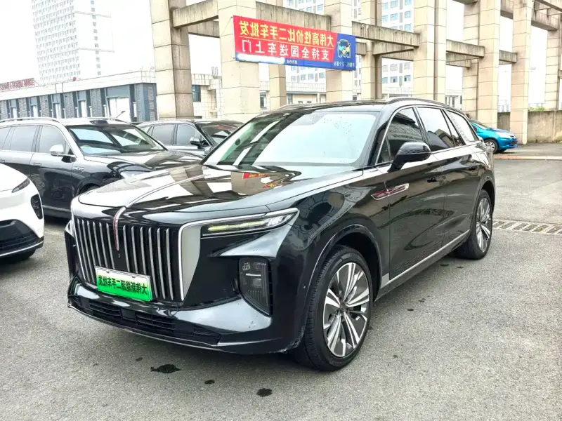 Hongqi E-HS9, 2021