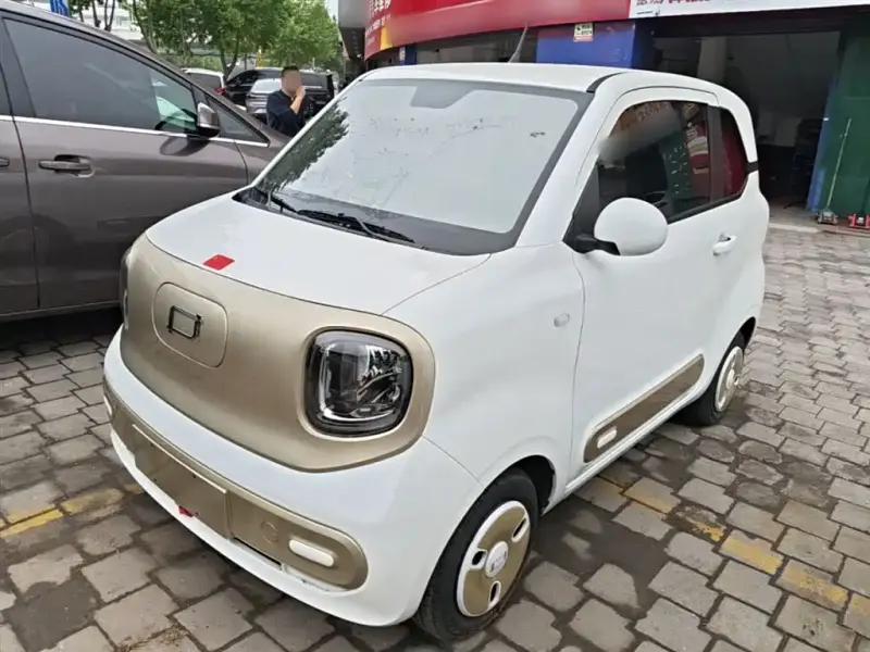 Bestune Pony, 2024