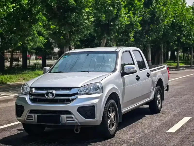 Great Wall Fengjun 5, 2022