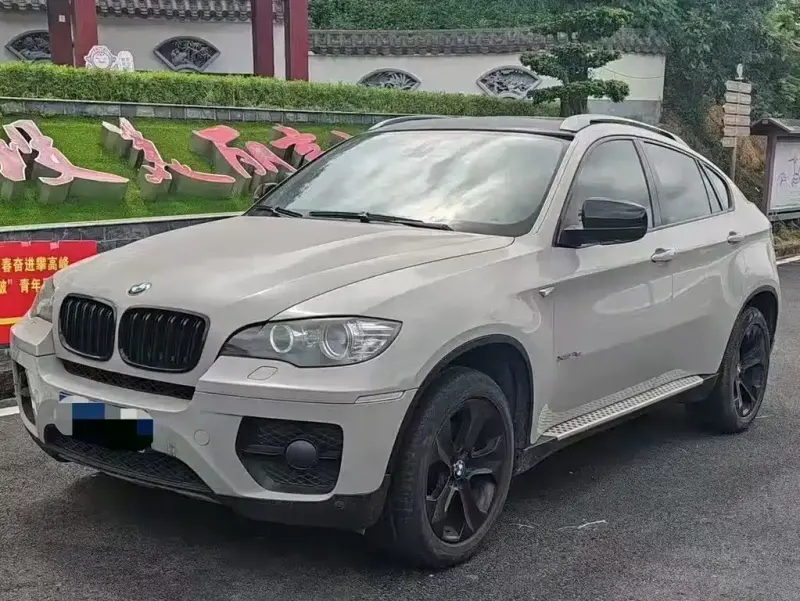 BMW X6, 2010