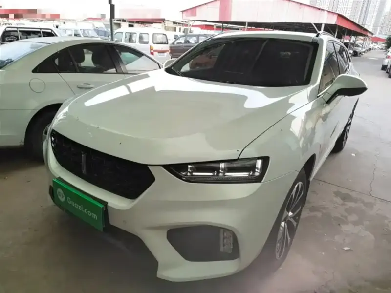 Wey VV7, 2018
