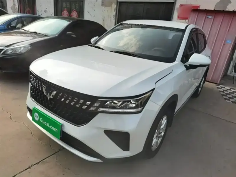 Wuling Xingchi, 2024