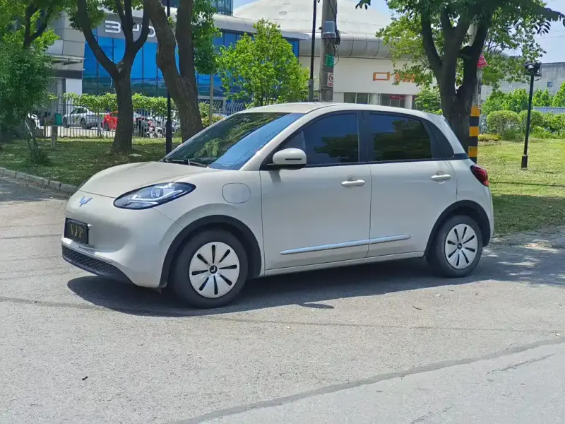 Wuling Bingo, 2024