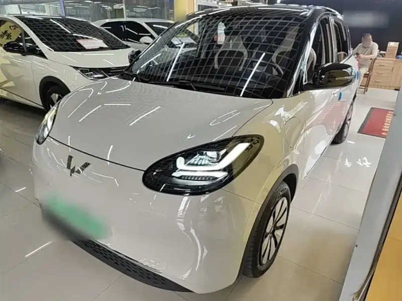 Wuling Bingo, 2024