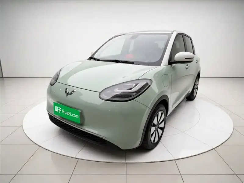 Wuling Bingo, 2024