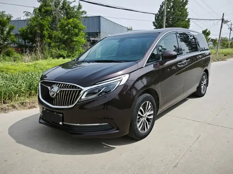 Buick GL8, 2019